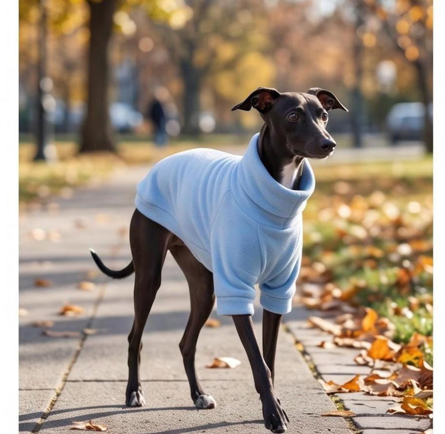 Italian Greyhound & Whippet Fleece Jumper | Water Repellent Dog Jumper with Front Legs