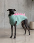 Italian Greyhound Dinosaur Fleece Jumper | Water Repellent Iggy Dog Jumper