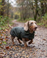 Dachshund Wax Coat | Traditional Water Resistant Dog Jacket
