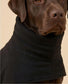 Water-Resistant Softshell Dog Coat | Warm Fleece Lined & Windproof Dog Jacket