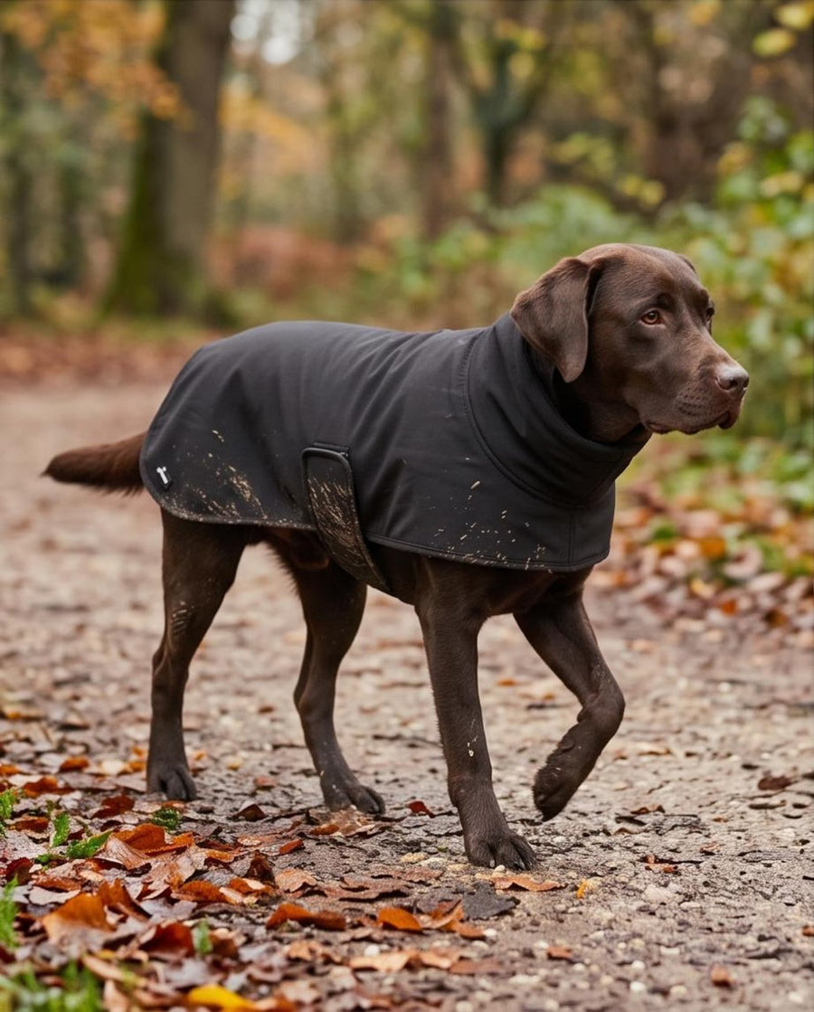 Water-Resistant Softshell Dog Coat | Warm Fleece Lined & Windproof Dog Jacket