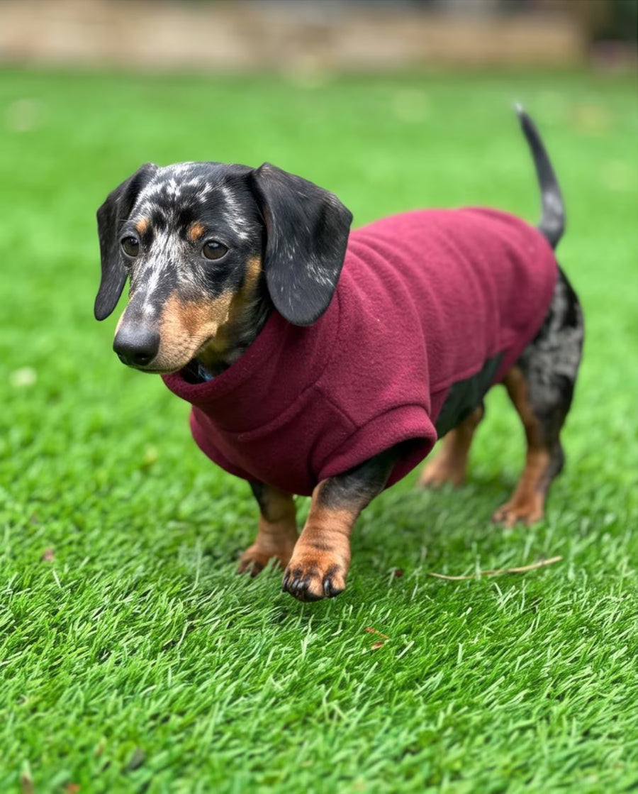 dog-fleece-jumpers