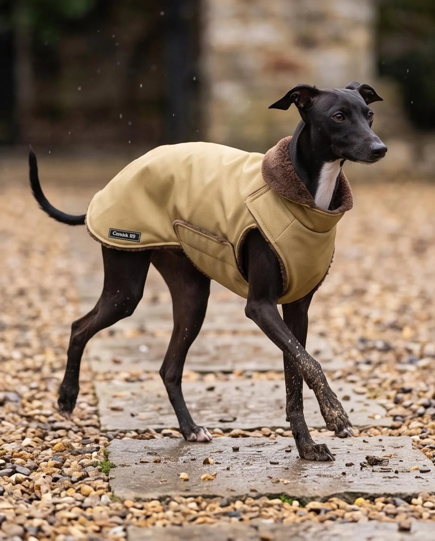 Waterproof Italian Greyhound Coat | Sherpa Fleece Lined Dog Coat with Chest Coverage