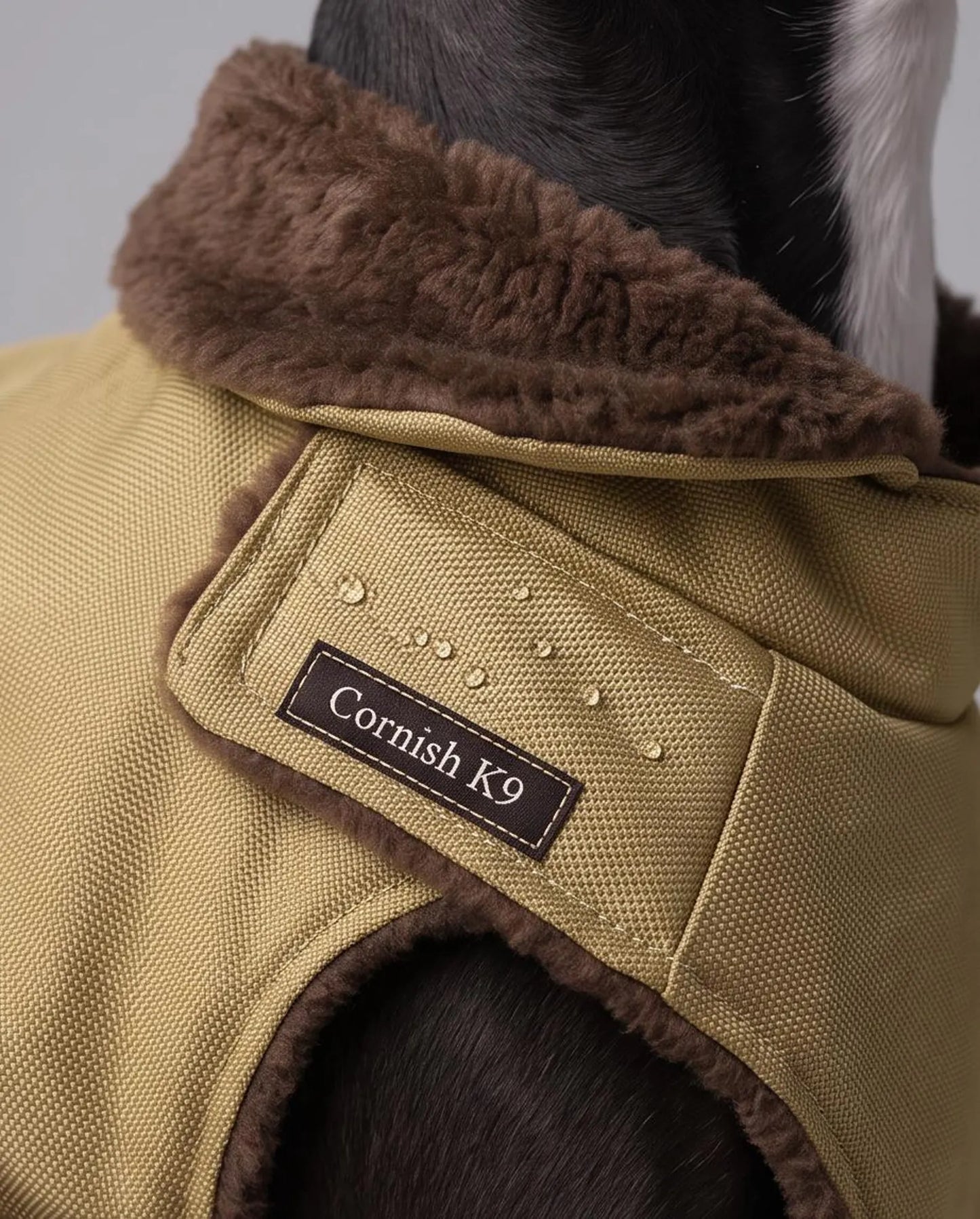 Waterproof Italian Greyhound Coat | Sherpa Fleece Lined Dog Coat with Chest Coverage