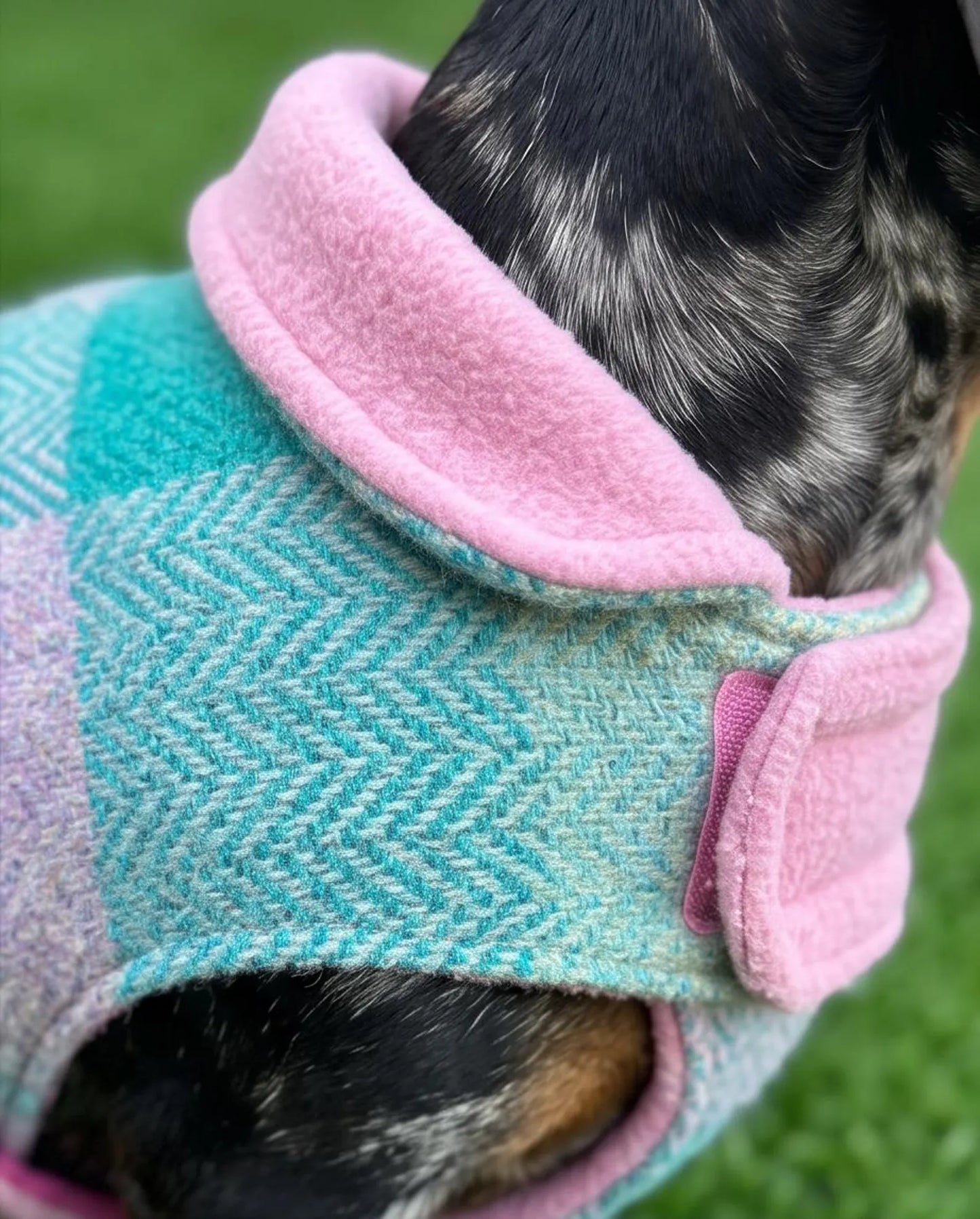 Harris Tweed Dachshund Coat | Luxury Handmade Fleece Lined Dog Coat