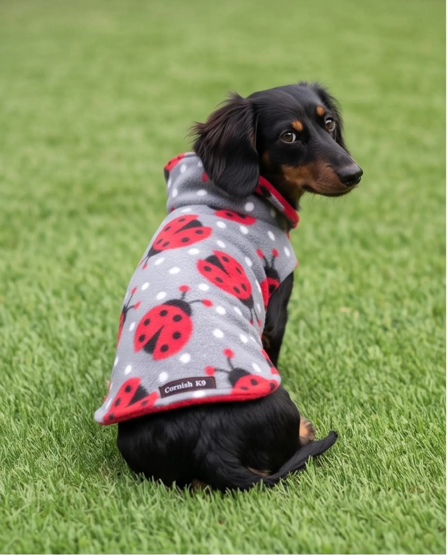 Dachshund Double Layer Fleece Coat | Extra Warm Dog Coat