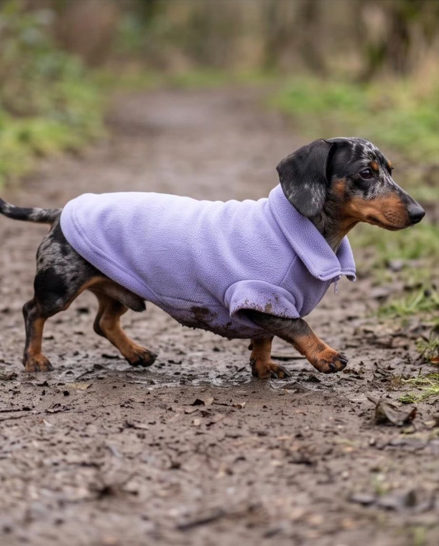 Dachshund Zip Neck Fleece Jumper | Warm Water Repellent Dog Jumper