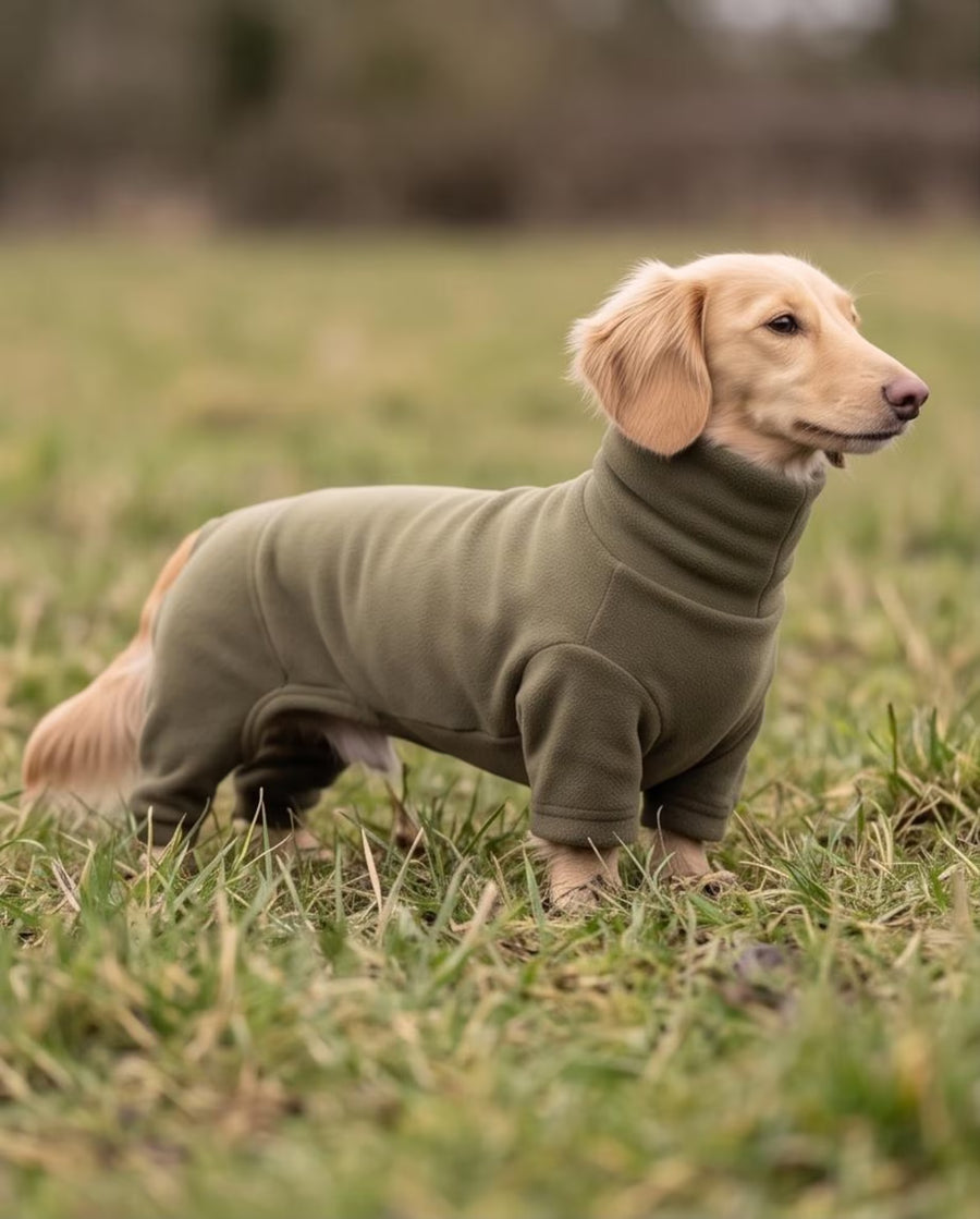 Dachshund Fleece Onesie | Warm Full Body Dog Jumpsuit