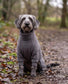 Dog Fleece Jumpsuit | Water & Mud Repellent Full Body Dog Onesie