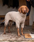Dog Fleece Jumpsuit | Water & Mud Repellent Full Body Dog Onesie