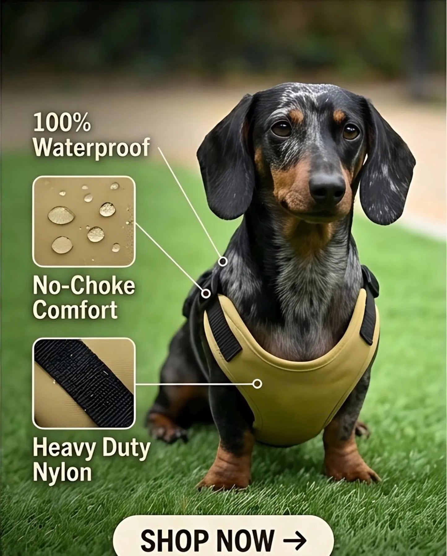 Waterproof Dachshund Cordura Harness | Fleece Lined Dog Walking Harness