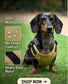 Waterproof Dachshund Cordura Harness | Fleece Lined Dog Walking Harness