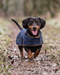 Waterproof Cordura Dachshund Coat | Durable Fleece Lined Dog Coat