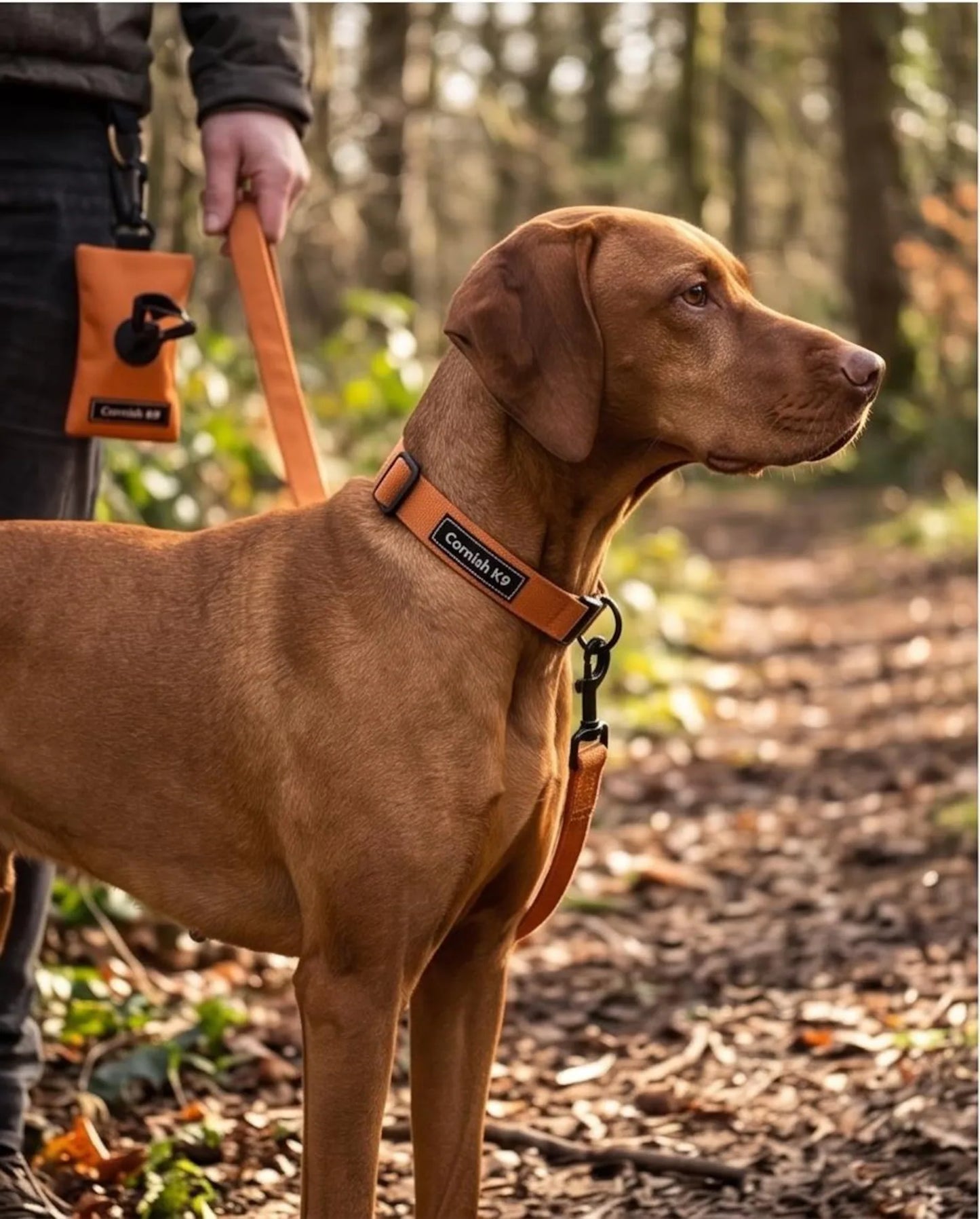 Waterproof Cordura Dog Collar & Lead Set | Adjustable, Durable & Handmade