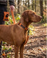 Waterproof Cordura Dog Collar & Lead Set | Adjustable, Durable & Handmade