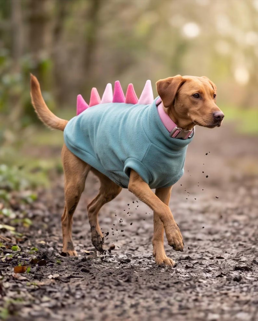Dinosaur Dog Fleece Jumper | Water & Mud Repellent Dog Sweater