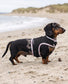Made-to-Measure Dachshund Spacer Mesh Harness | Breathable No-Rub Dog Harness
