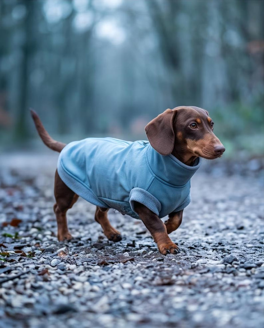 Dachshund Fleece Jumper | Water & Mud Repellent