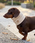 Dog Fleece Snood | Warm Neck Warmer for Dachshunds & Other Breeds