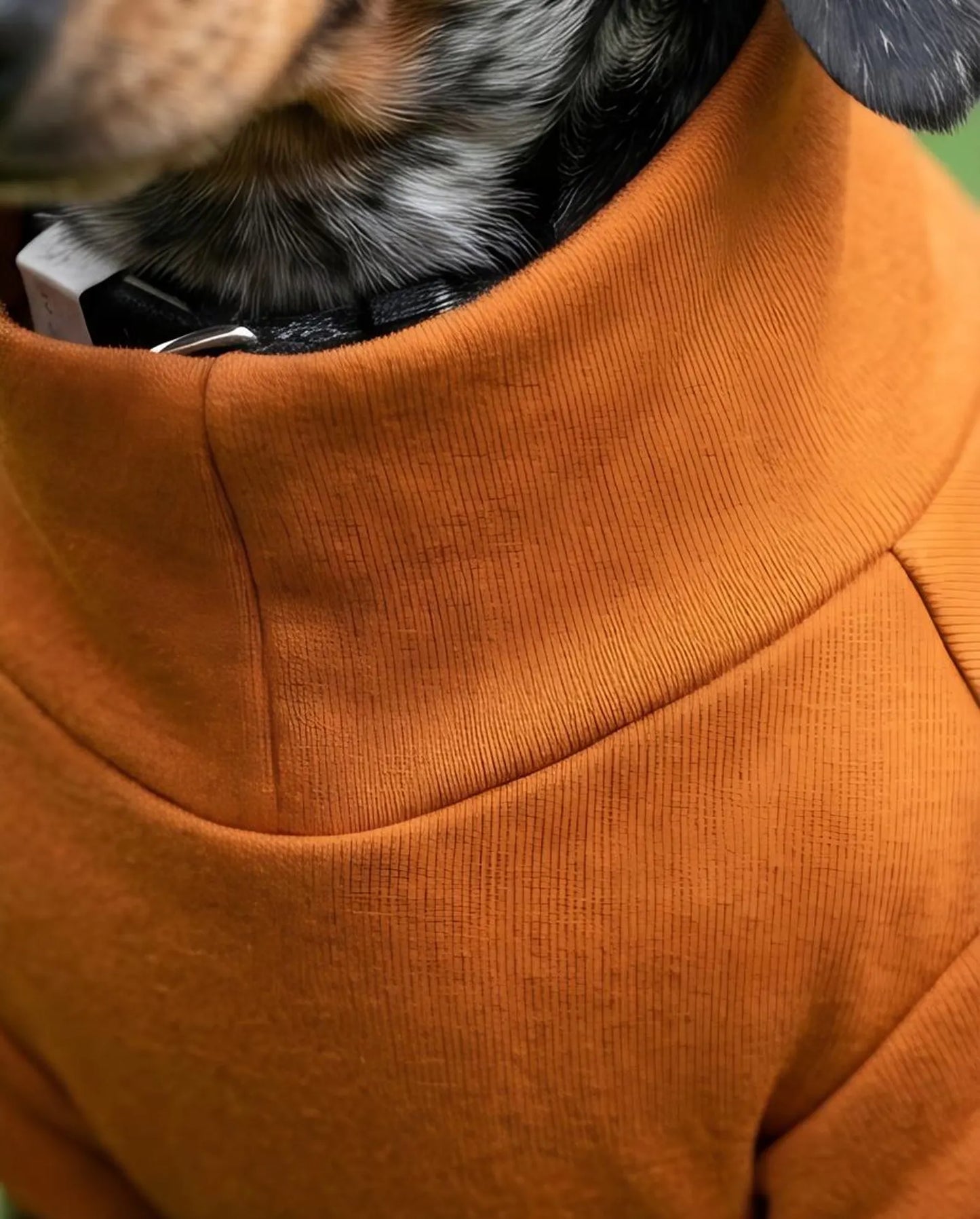 Dachshund Lightweight Jersey Jumper | Soft Summer Dog T-Shirt