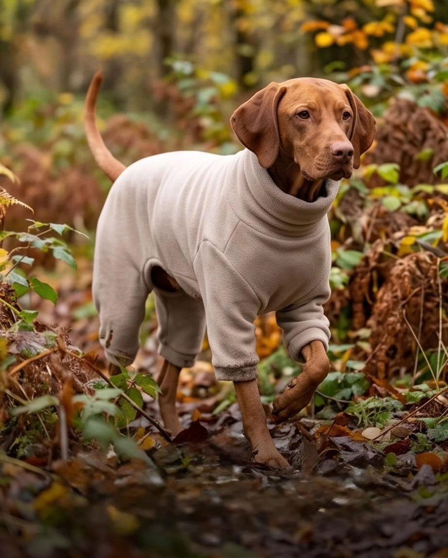 dog-onesies-jumpsuits