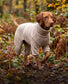 Dog Fleece Jumpsuit | Water & Mud Repellent Full Body Dog Onesie