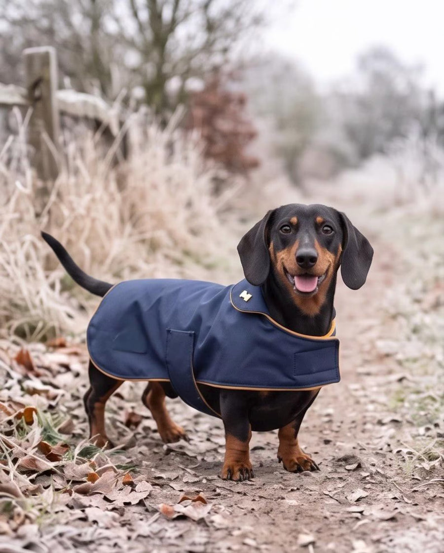 Waterproof Cordura Dachshund Coat | Durable Fleece Lined Dog Coat