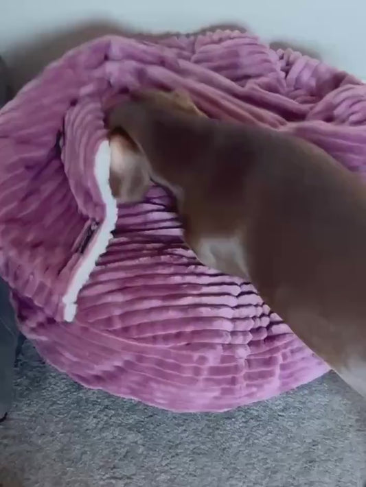 Personalized Dachshund Snuggle Bed Cave: Sherpa Fleece Dog Cuddle Bed