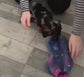 Dachshund Fleece Jumper: Water Repellent Dog Coat