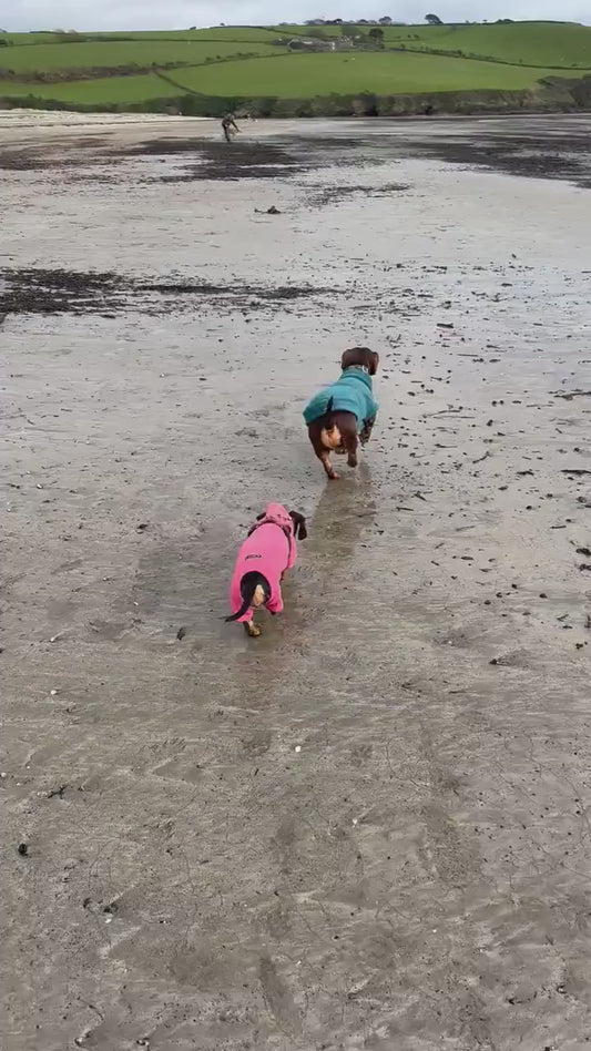 Water Repellent Dachshund Fleece Jumper: Open Neck Dog Coat