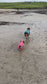 Water Repellent Dachshund Fleece Jumper: Open Neck Dog Coat