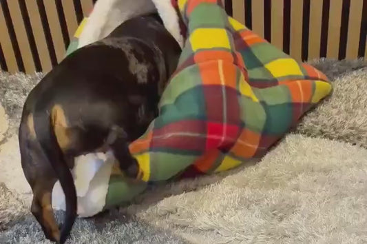 Padded Polar Fleece Dog Snuggle Sack: Dachshund Burrow Bed.