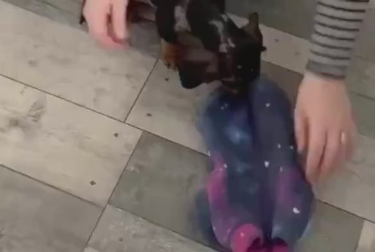 Dachshund Fleece Dog Jumper: Water Resistant Galaxy Print.